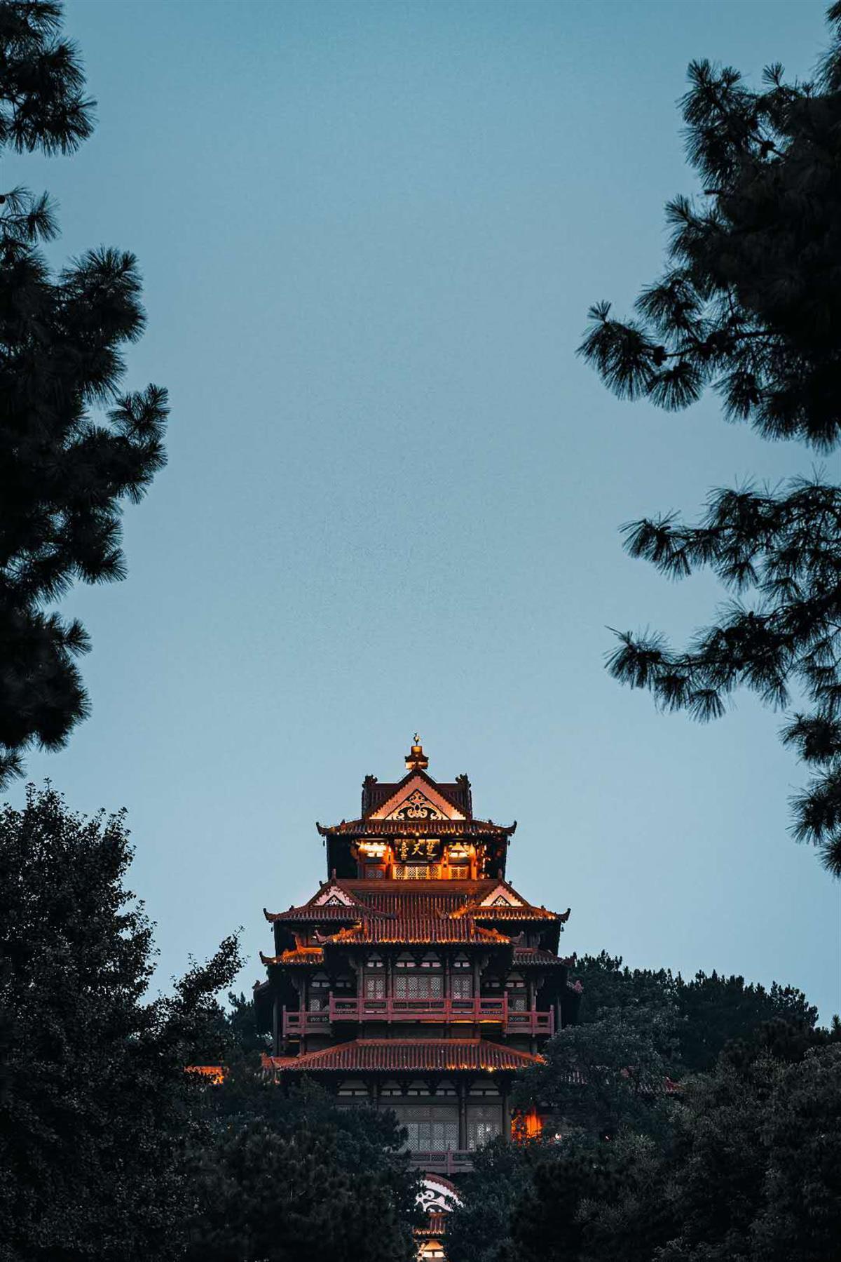 澳金国际平台简介