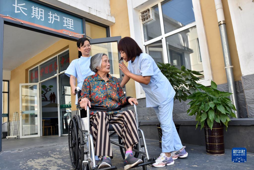 菠菜人官网